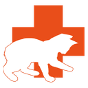 Katzenbabyrettung Mittelhessen
